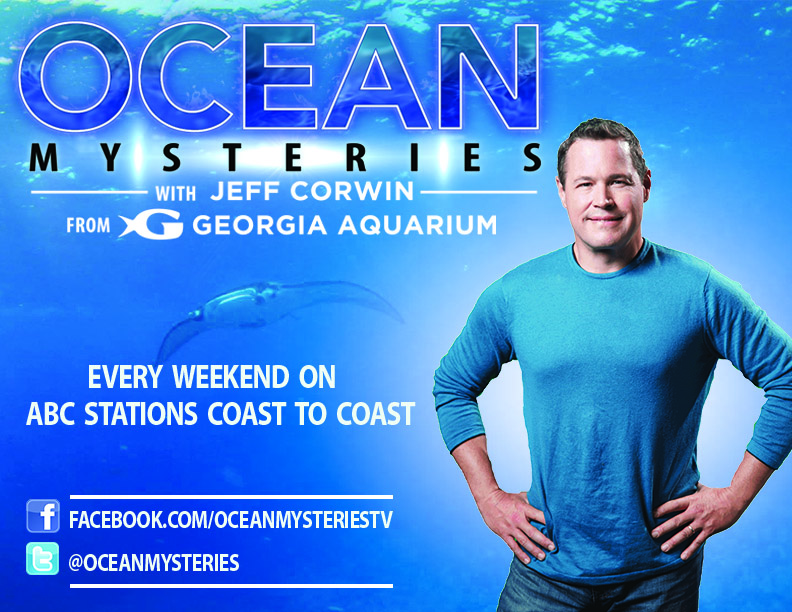 Litton Entertainment's Ocean Mysteries with Jeff Corwin from